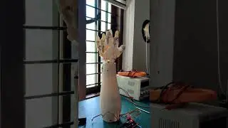 robot hand