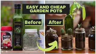 Extreme Cheapest Pots Only in 0 Rupees FREE | Urdu Hindi | 2020