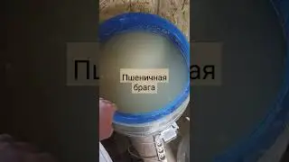 Пшеничная брага. #алкоголь #дистиллят #брага #напиток #самогон #домспирт #рецепт