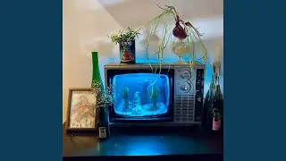 Komorebi