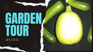 June 2023 GARDEN TOUR 😳 Tragedy - Zone 8A 🍅 #gardening #gardentour  #homesteading 🌻