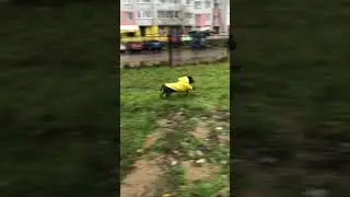 Под дождём #shorts