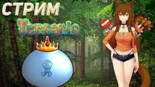 ЛАМПОВЫЙ CТРИМ ПО Террарии, играем, общаемся, веселимся :)