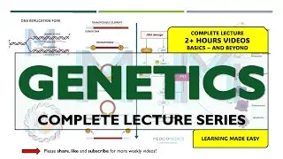 Genetics Full Course | 13 High-Yield Chapters