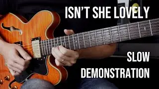Isn't She Lovely (Stevie Wonder) - Davi Filho (Slow Demonstration)