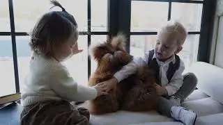 Кот игрушка из натурального меха лисы - дети влюбились с первого прикосновения