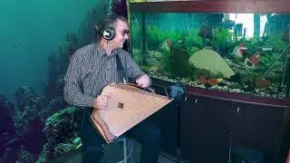 Подводное царство | Музыкальная композиция | Гусли Сфера