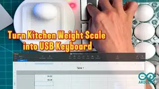 How To Turn Kitchen Weight Scale Into A USB Keyboard
