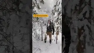 С НОВЫМ ГОДОМ 