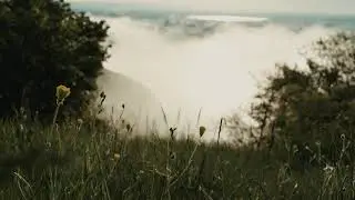 Nature  - Mountain Grass with fog