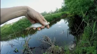 из Башкирии в Самару, день первый