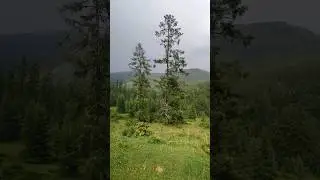 #Россия#горныйалтай#сибирь#природароссии#отдыхвгорах#russia#altay#subriya#nature