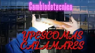 CAMBIO DE TECNICA Y PESCO MAS CALAMARES.