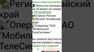Теперь вы знаете в каком регионе Чикен Тип и его номер