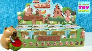 Capybara Summer Friends Fun Blind Bag Figure Unboxing