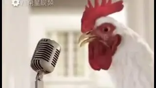 VID 20161225 WA0009 1