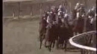 1986 Breeders' Cup Mile