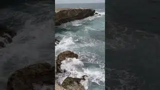 somewhere in Aruba