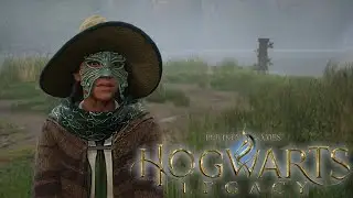 Hogwarts Legacy #8 КАТАЕМ ШАРЫ