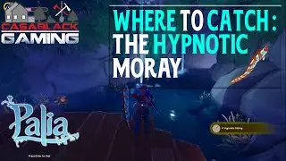 When, Where & How to Catch Hypnotic Moray in Palia | 1 Min Guide