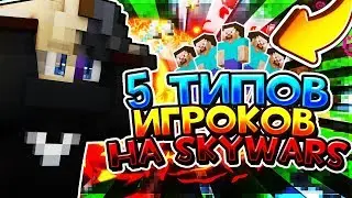 5 ТИПОВ ИГРОКОВ НА СКАЙВАРС! VIMEWORLD