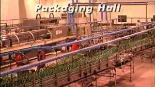 Turn key soft drinks plant