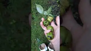 Look what the storm brought