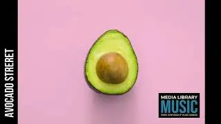 Avocado Street [COUNTRY INTRUMENTAL] COUNTRY & FOLKS SONGS