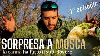 Sorpresa 🎁 cercando le carpe 🐟 a mosca - prima parte