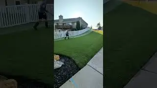 Morning Dew #satisfying #satisfyingvideos