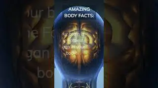 Why Being Called a 'Fathead' is Actually a Compliment. #shorts #education #fat