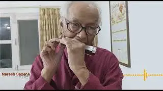 Naresh Saxena playing Harmonica