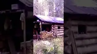 Избушка старая в тайге