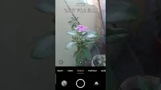 🌺Flower Photography With Editing | Lightroom Tutorial | Photography In Mobile 