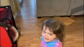 Priceless moments - Funny Baby And Dog // The Babies World // #Shorts