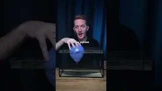 НИКОГДА НЕ СДАВАЙСЯ 🔥 