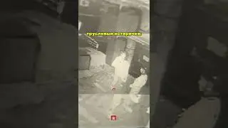 ВЫ БЫ ИСПУГАЛИСЬ?  тгк: Таисия Игоревна