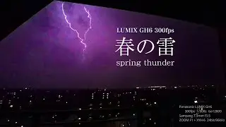 春の雷 / LUMIX GH6 300fps / ZOOM F1+XYH-6