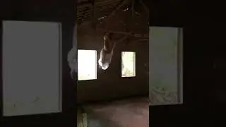 Akshy kumar leaping from 2017 to 2018
