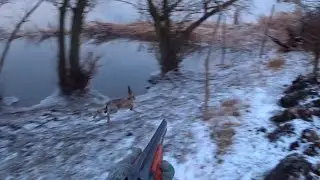 ДВА НЕАДЕКВАТНЫХ ЗАЙЦА И УТКА  !!!