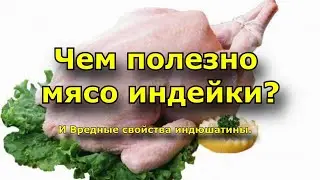 Чем полезно мясо индейки?. И Вредные свойства индюшатины