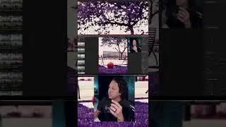 Using Dehancer to Edit Digital Photos! 