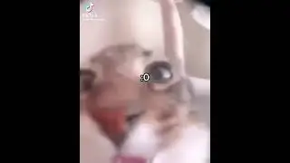 :0