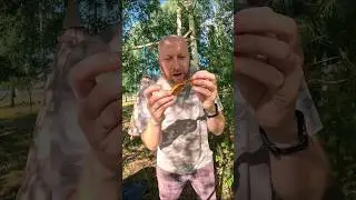 Кабачковые и картофельные наггетсы