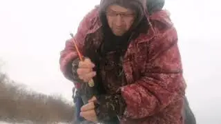 Бешеный окунь 600 гр
