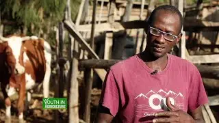 Making the most from small-scale dairy farming - Youth in agriculture |part 1|