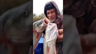 Опять тянет в Дельту Волги !!!