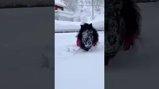SNOWSTORM IN NORWAY😱 