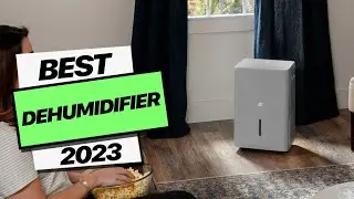 Best Dehumidifiers for 2023: Say Goodbye to Moisture
