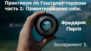 Практикум по гештальт-терапии.